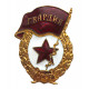 СССР нагрудный знак "Гвардия". Неврученка