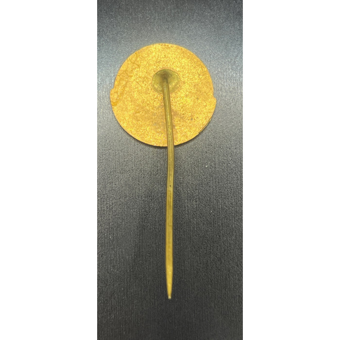 Чехословакия Значок 600 лет городу Быстрица (BOX)