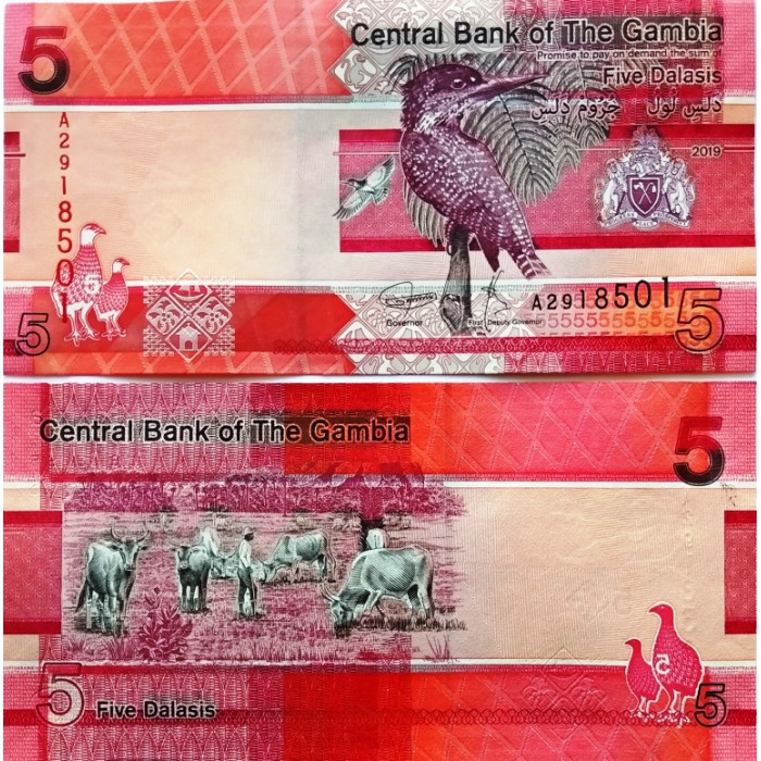 Гамбия 5 даласи 2019 год UNC P-37a