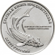 Приднестровье 1 рубль 2018 год UNC UC# 168 ПМР Красная книга Приднестровья - Русский осётр (Acipenser gueldenstaedtii)