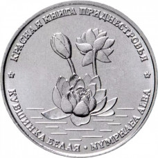 Приднестровье 1 рубль 2021 год UNC UC# 304 ПМР Красная книга - Кувшинка белая