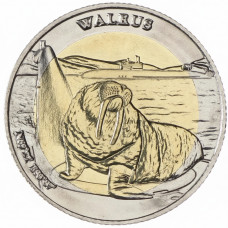 Арктические территории 5 долларов 2022 год Морж