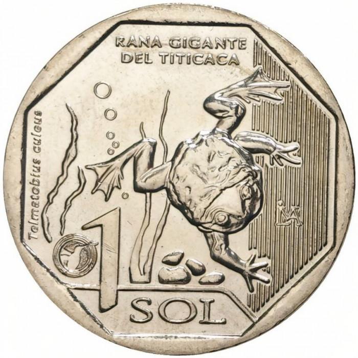Перу 1 соль 2019 год Водная лягушка Титикака UNC UC# 112