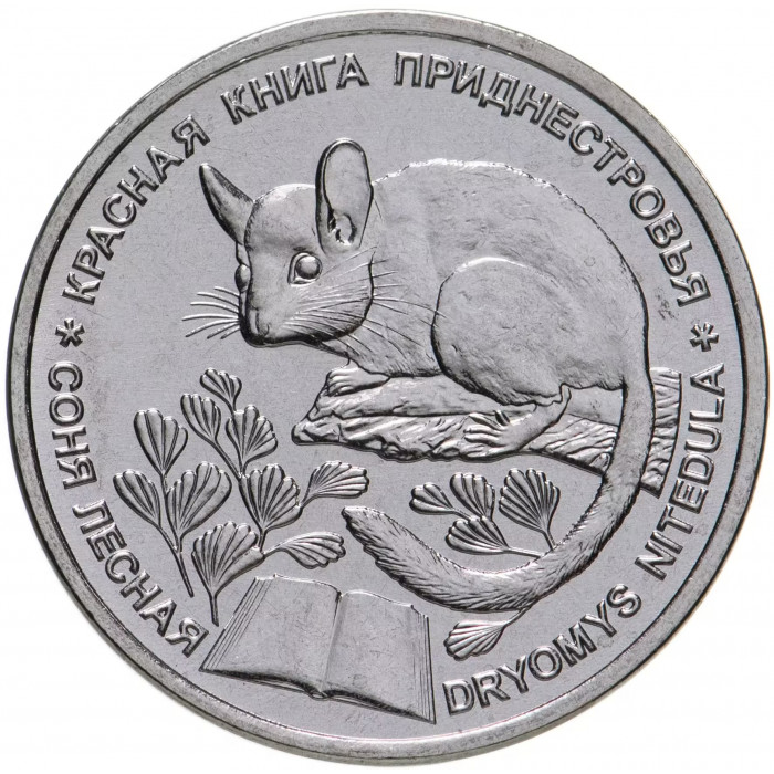 Приднестровье 1 рубль 2023 год UNC UC# 441 ПМР Красная книга - Соня лесная