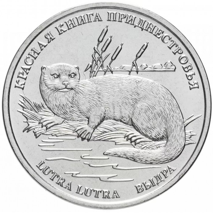 Приднестровье 1 рубль 2018 год Красная книга Приднестровья - Выдра UNC UC# 175