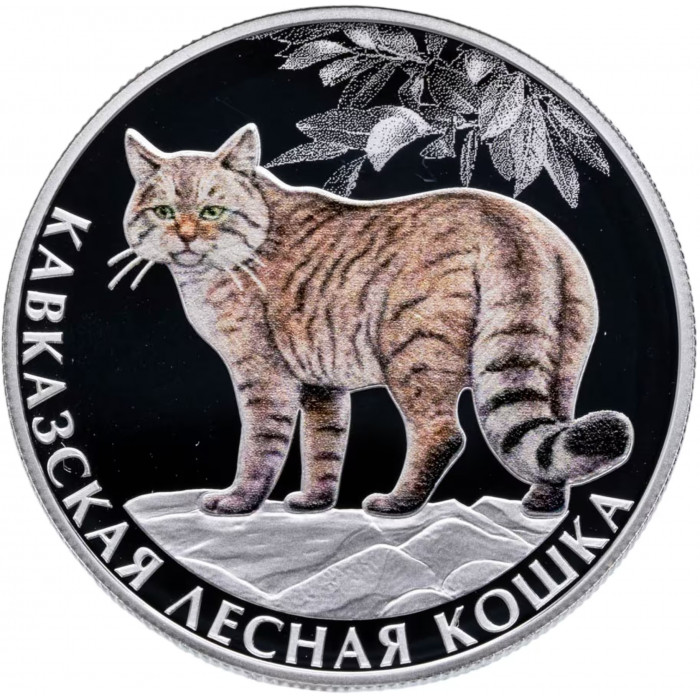 Россия 2 рубля 2026 год Кавказская лесная кошка,  очковая гага, ушастая кругоголовка Набор из 3 монет Proof
