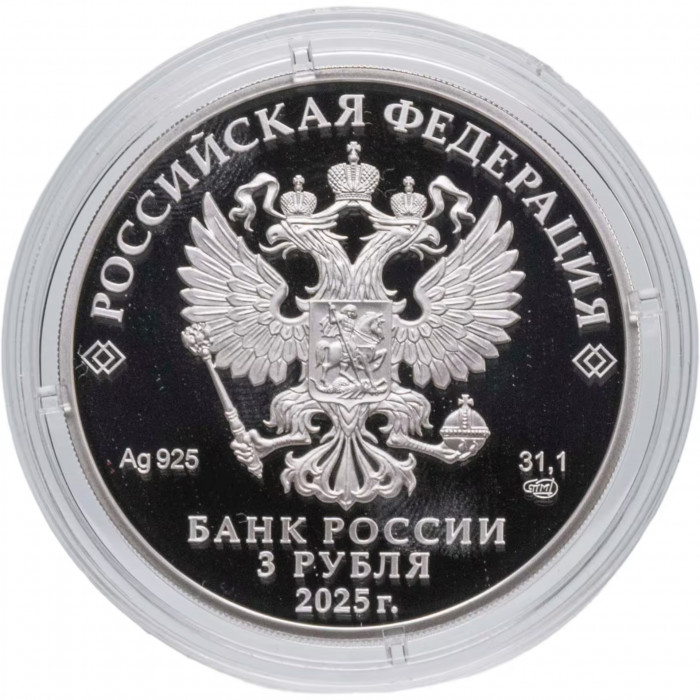 Россия 3 рубля 2025 год Всероссийское общество слепых Proof UC# 1162