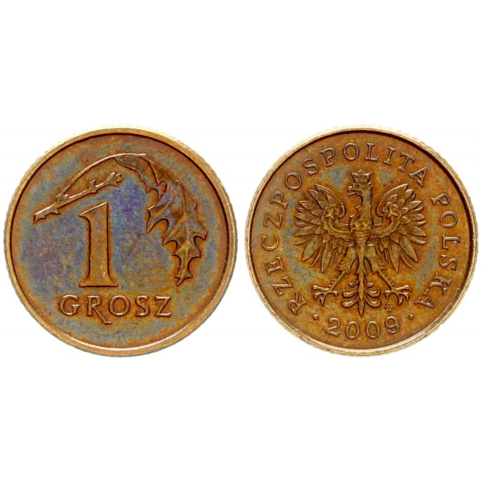 Польша 1 Грош 2009 год XF Y# 276 (BOX925)