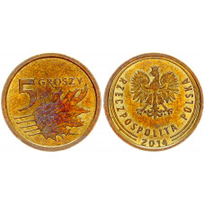 Польша 5 Грошей 2014 год Y# 925 (BOX938)