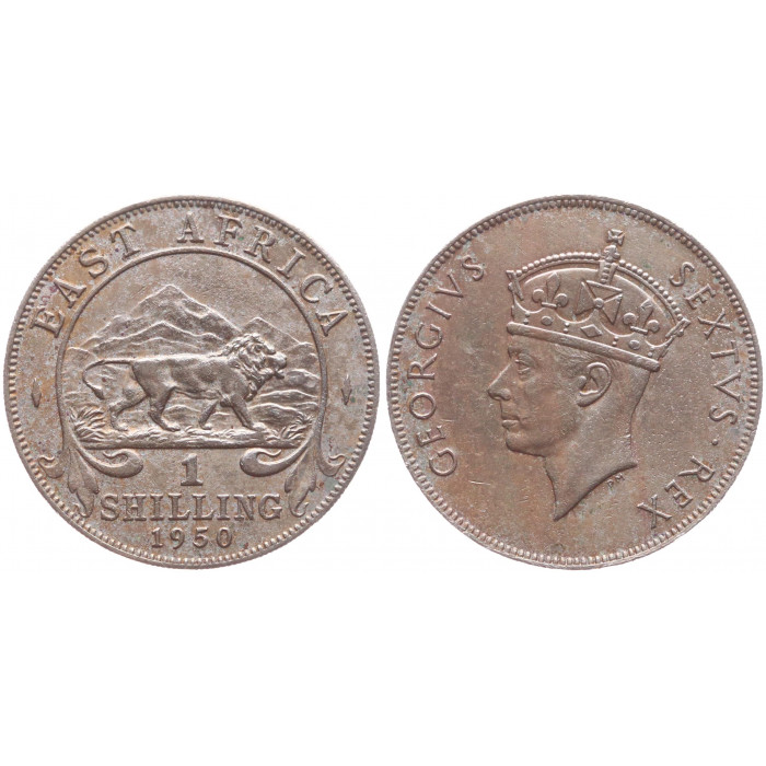 Британская Восточная Африка 1 Шиллинг 1950 год XF KM# 31 Георг VI Без знака монетного двора