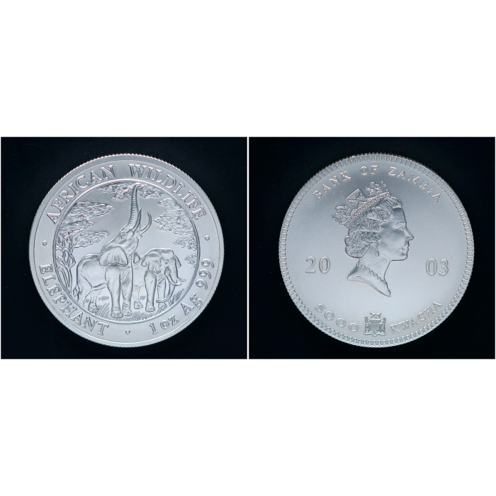 Замбия 5000 Квач 2003 год. Слоны. Дикие животные Африки