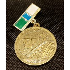 Россия Памятный знак За труд на благо города. 125 лет Новосибирску. Бугринский мост. СУ-34 (BOX)