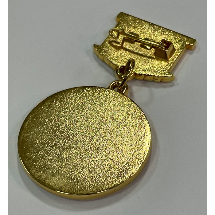 Россия Памятный знак / медаль. За вклад в развитие Новосибирской области. 75 лет Новосибирску. Герб (BOX613)