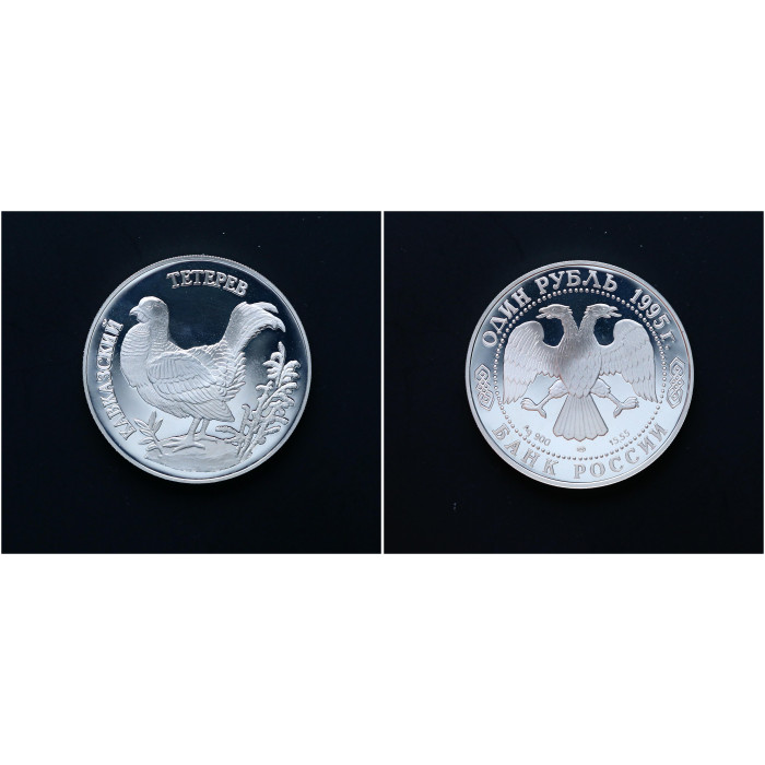 Россия 1 Рубль 1995 ЛМД год. "Красная книга - Кавказский тетерев"; ag, proof.