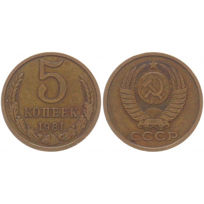 СССР 5 Копеек 1981 год Y# 129a (BOX2029)