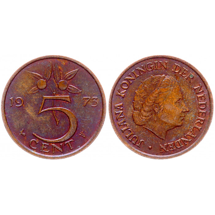 Нидерланды 5 Центов 1973 год XF КМ# 181 Юлиана (BOX849)