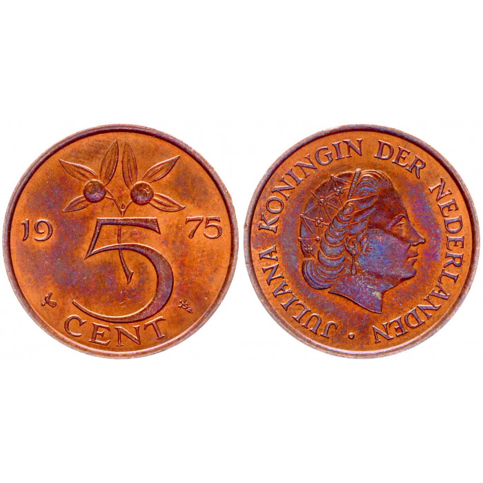 Нидерланды 5 Центов 1975 год XF КМ# 181 Юлиана (BOX851)