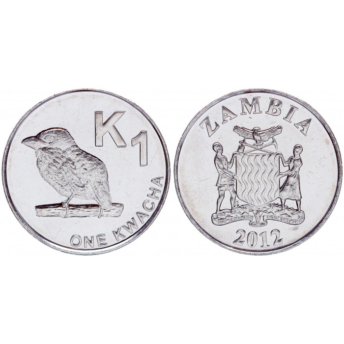 Замбия 1 Квача 2012 год UNC KM# 209 Фауна Птица Бородастиковые (BOX)