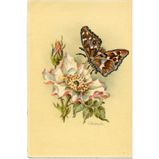 Открытка Бабочки и цветы (с блестками)