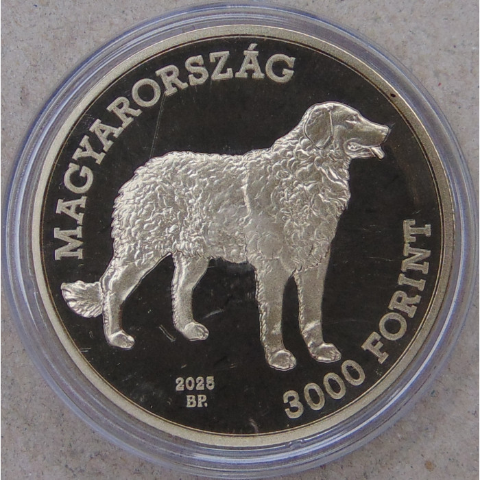 Венгрия 3000 форинтов 2025 Кувас, Венгерский кувас