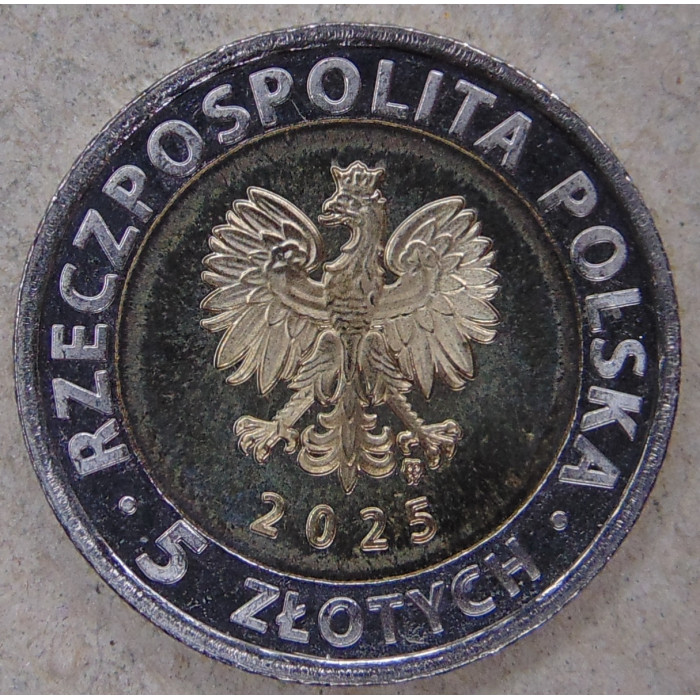 Польша 5 злотых 2025 Ратуша в Бжеге. Бжег UNC