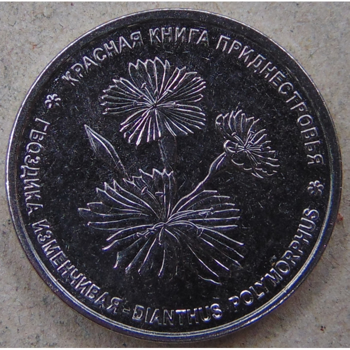 Приднестровье 1 рубль 2025 Гвоздика изменчивая UNC