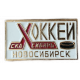 Хоккей СКА Сибирь Новосибирск