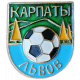 Футбольный клуб Карпаты Львов