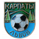 Футбольный клуб Карпаты Львов