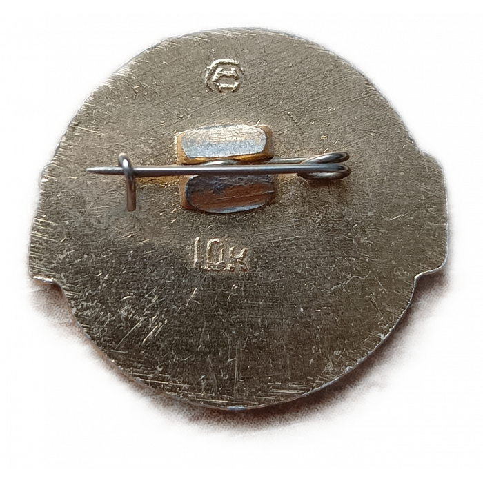 СССР, Автобус Лиаз 677 