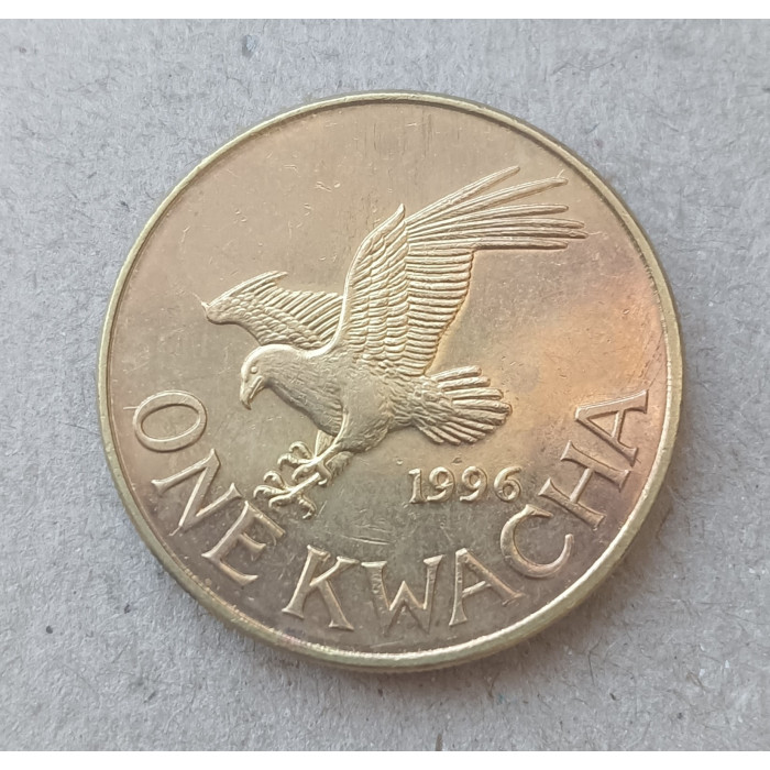 Малави 1 Квача 1996 год , Орлан-крикун