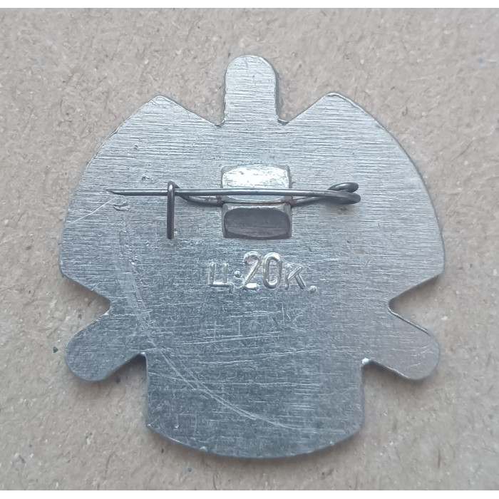 Матч Конькобежцев , Новосибирск , 1973 год Матч Конькобежцев , Новосибирск , 1973 год