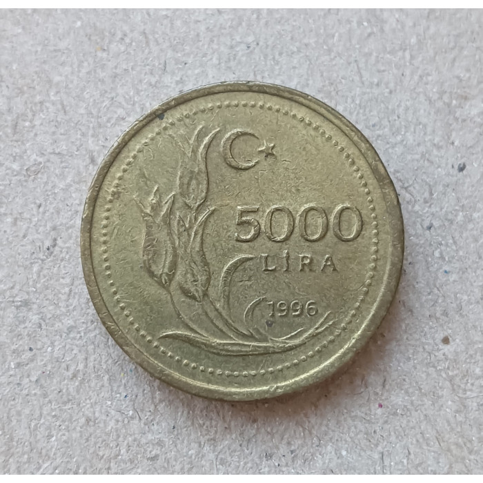 Турция 5000 Лир 1996 год , Ататюрк