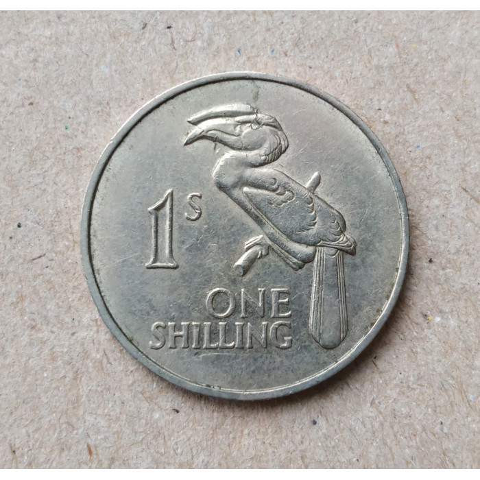 Замбия 1 шиллинг 1964 год , Птица-носорог , Венценосный ток