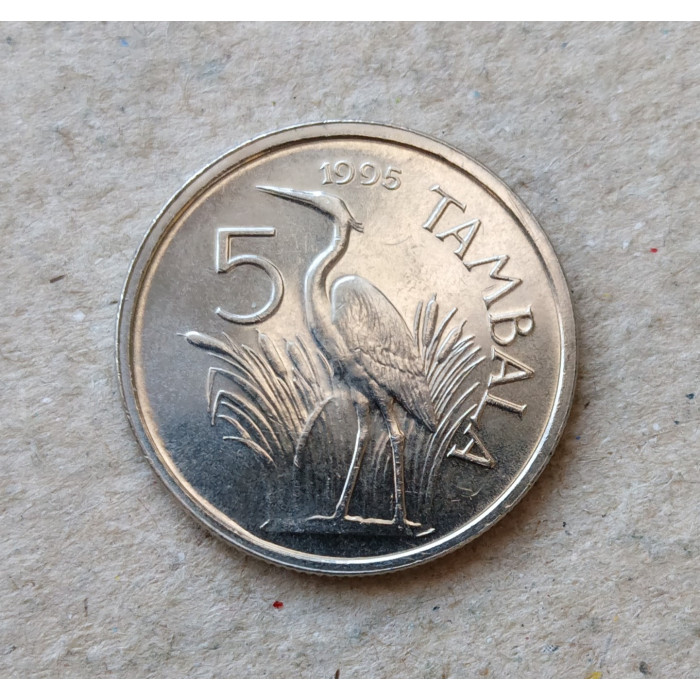 Малави 5 Тамбала 1995 год , Фиолетовая цапля