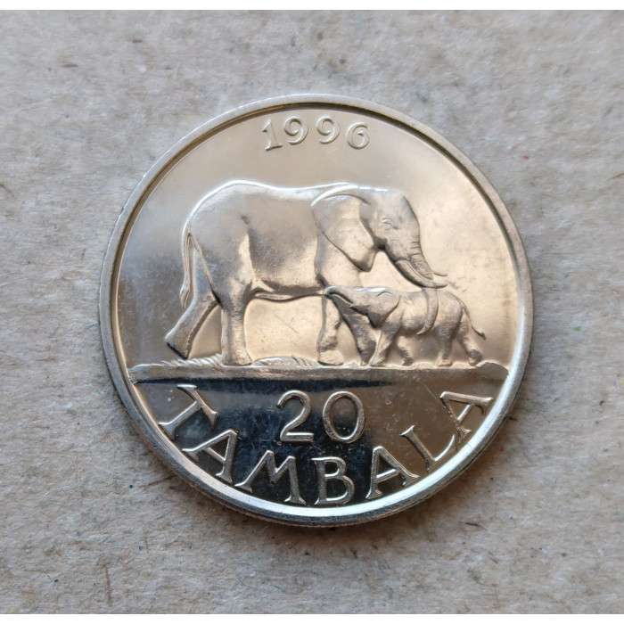Малави 20 Тамбала 1996 год , Слон