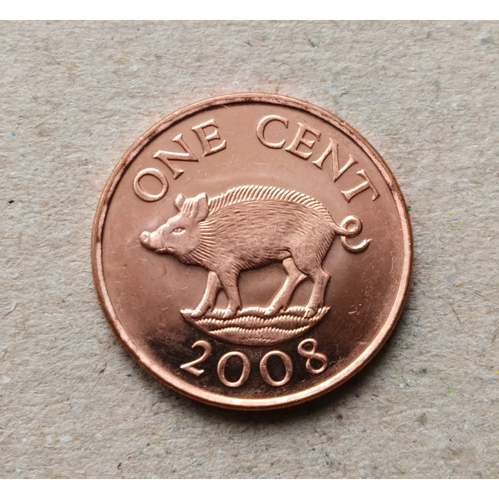 Бермудские Острова 1 Цент 2008 год , Кабан