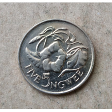 Замбия 5 Нгве 1972 год , Ипомея