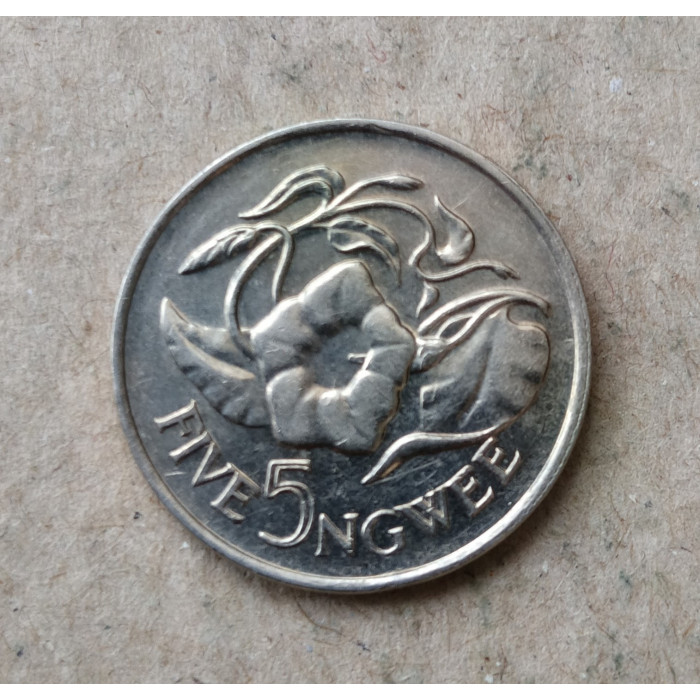 Замбия 5 Нгве 1972 год , Ипомея
