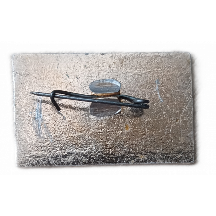 НИИ ядерной физики , 25 лет , Новосибирск , 1949, 1974 год