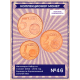Финляндия Набор из 3 монет 2004 - 2014 год Евроценты Коронованный золотой лев UNC (SET 46)