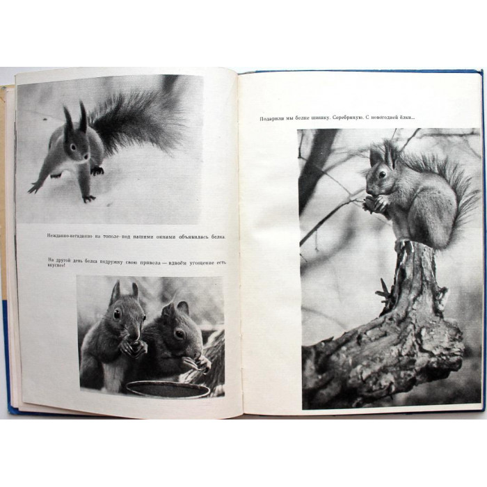 О. Кравець «ГОЛУБАЯ ПТИЦА В СИНЕМ НЕБЕ» (Дет лит, 1974)