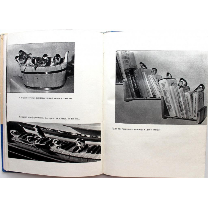 О. Кравець «ГОЛУБАЯ ПТИЦА В СИНЕМ НЕБЕ» (Дет лит, 1974)