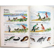 И. Баранников, Л. Варковицкая «РУССКАЯ РЕЧЬ В КАРТИНКАХ» часть 1 (Просвещение, 1990)
