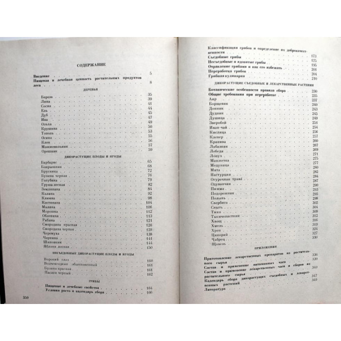 Т. Иванова, Л. Путинцева «ЛЕСНАЯ КЛАДОВАЯ» (Тула, 1993)