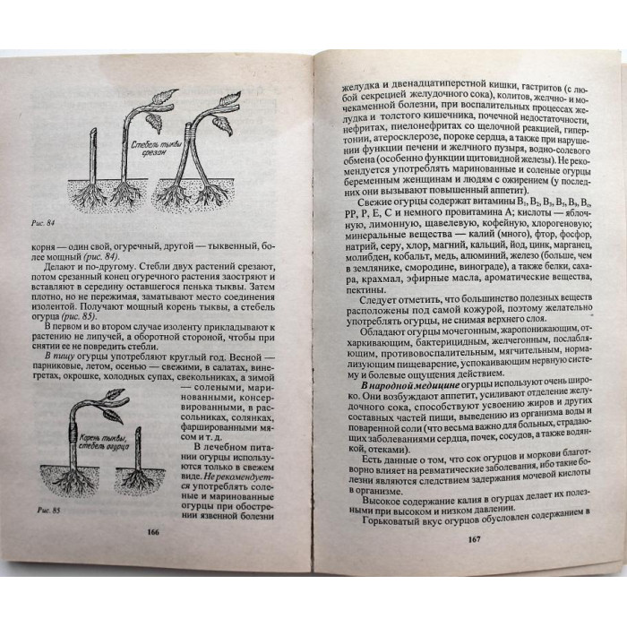 Л. Новичихина «ЗЕЛЕНАЯ АПТЕКА» НА ГРЯДКАХ ДОКТОРА МИТТЛАЙДЕРА (Минск, 1998)