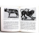 Г. Соколов «ИСКУССТВО ЭТРУСКОВ»  (Искусство, 1990)