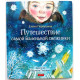 Е. Первушина «ПУТЕШЕСТВИЕ САМОЙ МАЛЕНЬКОЙ СНЕЖИНКИ»