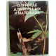 Ю. Дмитриев «О ПРИРОДЕ ДЛЯ БОЛЬШИХ И МАЛЕНЬКИХ» (Педагогика, 1982)