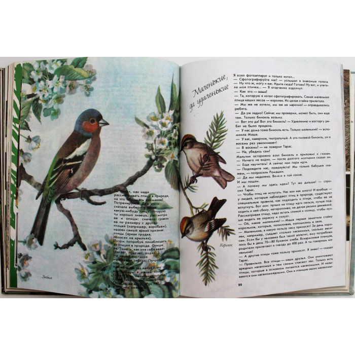 Ю. Дмитриев «О ПРИРОДЕ ДЛЯ БОЛЬШИХ И МАЛЕНЬКИХ» (Педагогика, 1982)